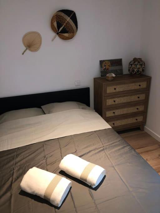 Appartement Cosy-Grand Stade Villeneuve D'Ascq Lezennes Kültér fotó